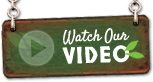 Watch Our Video